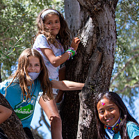 Camp Carondelet 2021 BN 184 Four campers climb a tree at Camp Carondelet in July 2021.